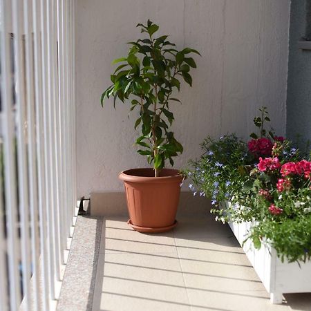 Darin Apartment Zadar Ngoại thất bức ảnh